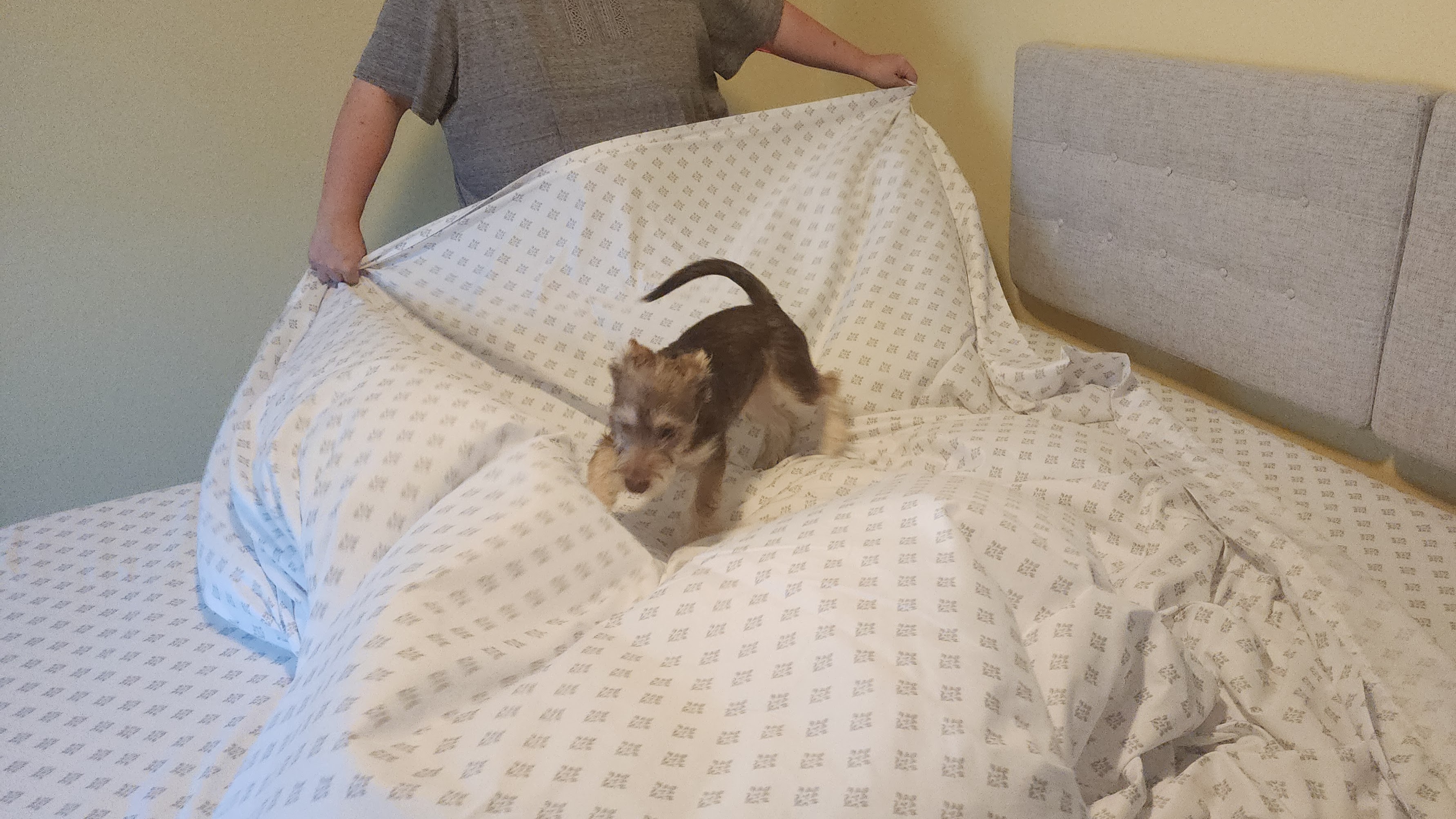 Barry helps with housekeeping, too.